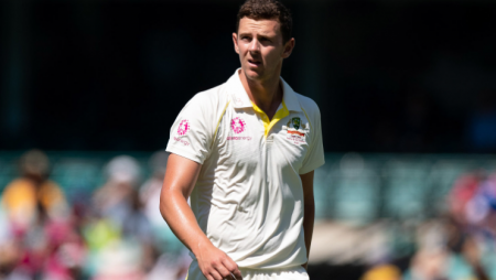 David Warner to play despite damaged rib; Jhye Richardson to replace Hazlewood for the second Test