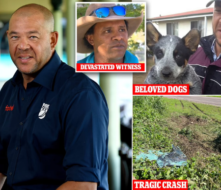 Andrew Symonds’ dog survived a fatal car accident and refused to leave his body.